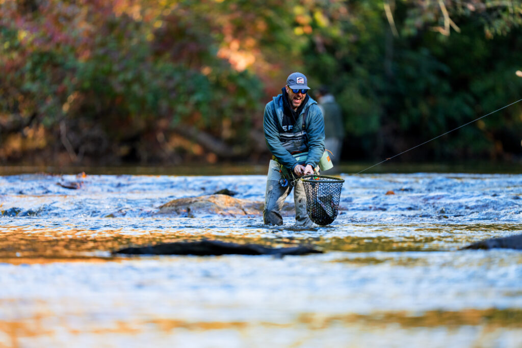 catching a fish in a net